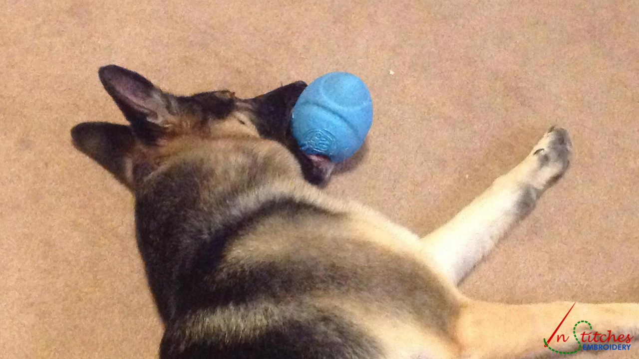 dog with toy ball
