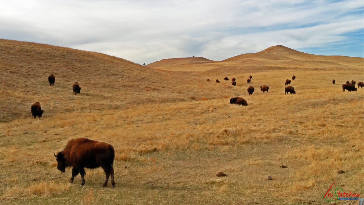 badland national park