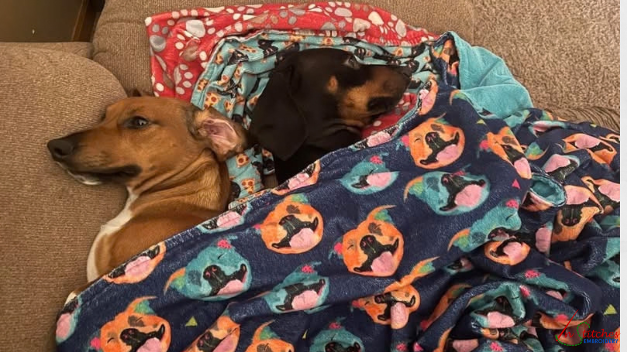 Blanket Envy